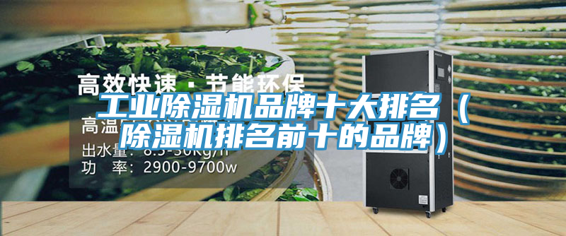 工業好色先生在线播放品牌十大排名(好色先生在线播放排名前十的品牌)