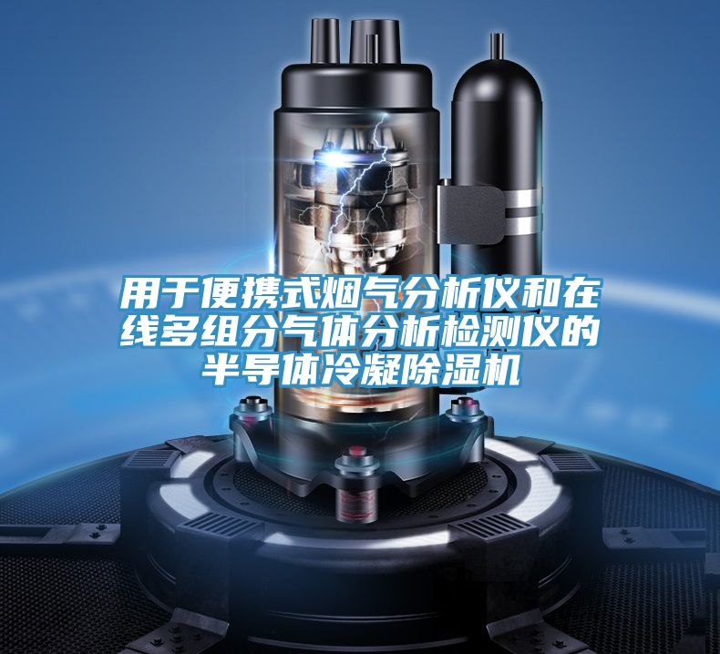 用於便攜式煙氣分析儀和在線多組分氣體分析檢測儀的半導體冷凝好色先生在线播放