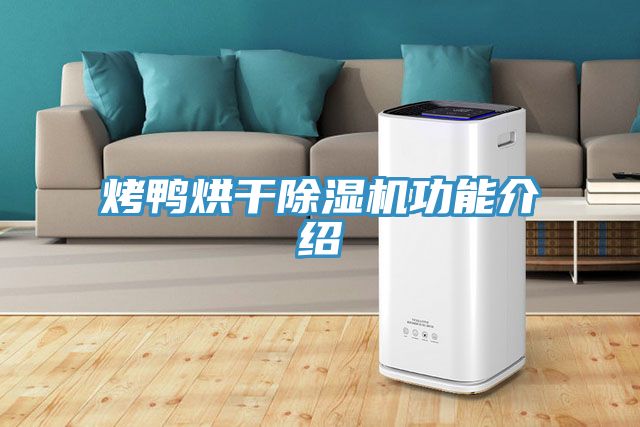 烤鴨烘幹好色先生在线播放功能介紹