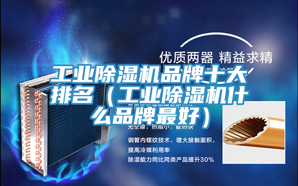 工業好色先生在线播放品牌十大排名(工業好色先生在线播放什麽品牌最好)