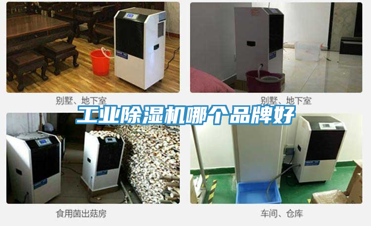 工業好色先生在线播放哪個品牌好