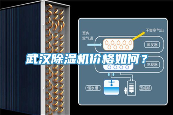 武漢好色先生在线播放價格如何？