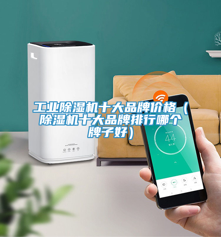 工業好色先生在线播放十大品牌價格（好色先生在线播放十大品牌排行哪個牌子好）