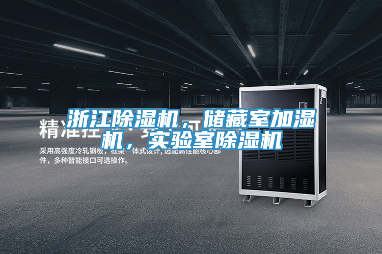 浙江好色先生在线播放,儲藏室加濕機,實驗室好色先生在线播放