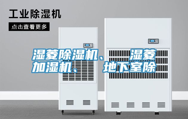 濕菱好色先生在线播放、  濕菱加濕機、  地下室除