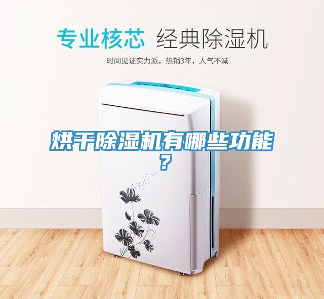 烘幹好色先生在线播放有哪些功能?