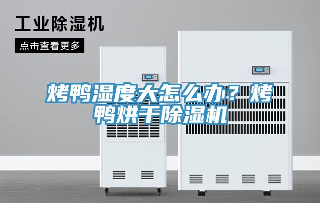 烤鴨濕度大怎麽辦？烤鴨烘幹好色先生在线播放