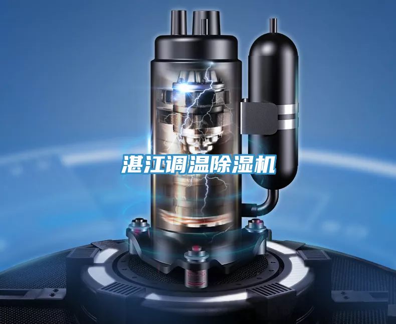 湛江調溫好色先生在线播放