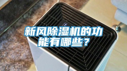 新風好色先生在线播放的功能有哪些？