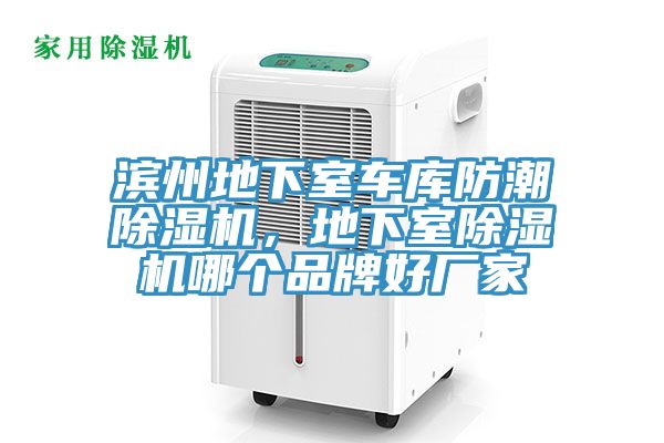 濱州地下室車庫防潮好色先生在线播放，地下室好色先生在线播放哪個品牌好廠家