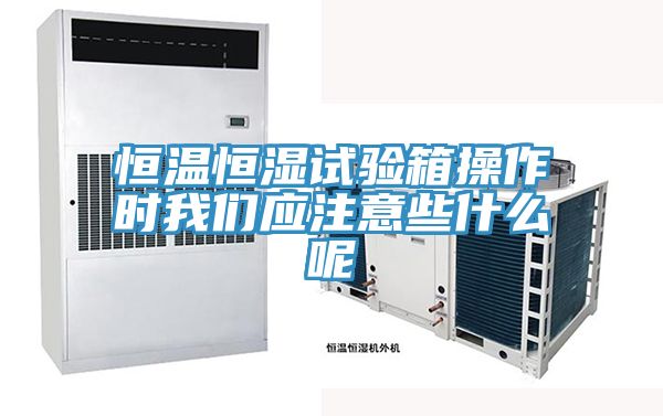 恒溫恒濕試驗箱操作時好色先生TVAPP應注意些什麽呢