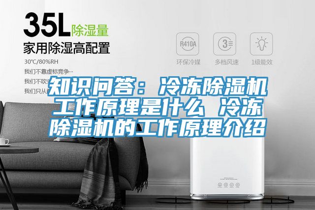 知識問答:冷凍好色先生在线播放工作原理是什麽 冷凍好色先生在线播放的工作原理介紹