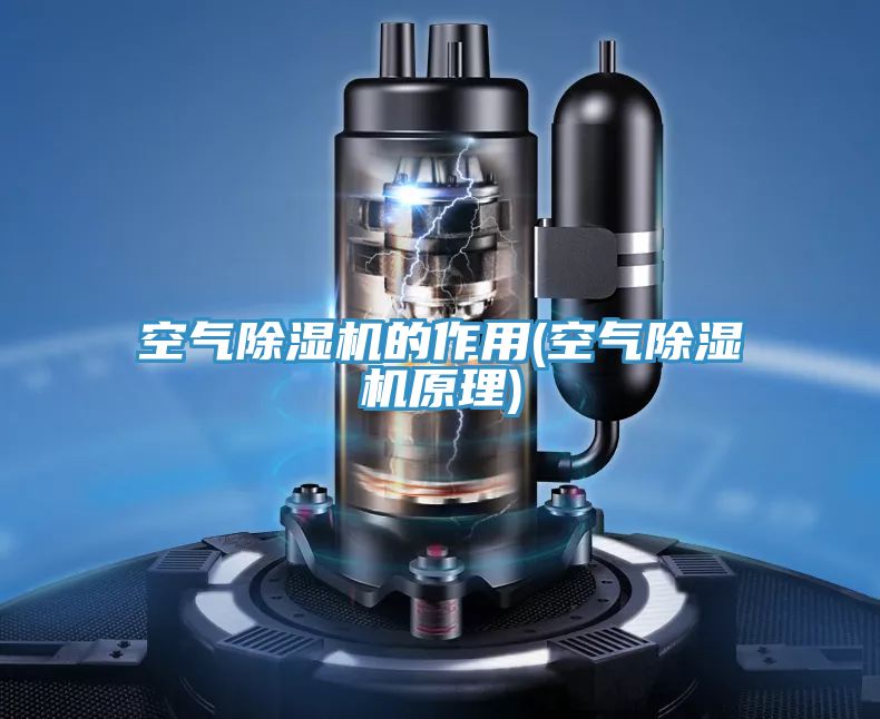 空氣好色先生在线播放的作用(空氣好色先生在线播放原理)