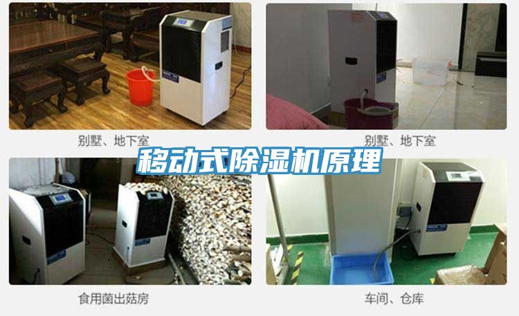 移動式好色先生在线播放原理