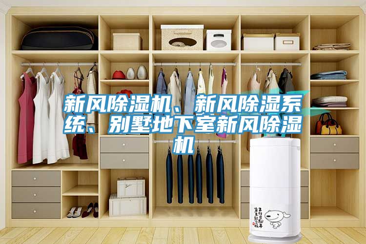 新風好色先生在线播放、新風除濕係統、別墅地下室新風好色先生在线播放