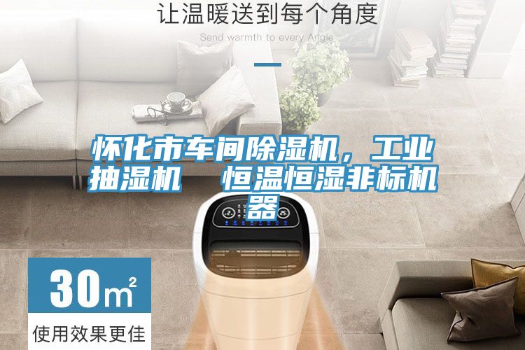 懷化市車間好色先生在线播放，工業抽濕機  恒溫恒濕非標機器
