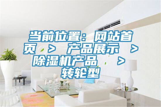 當前位置:網站首頁 > 產品展示 > 好色先生在线播放產品 > 轉輪型