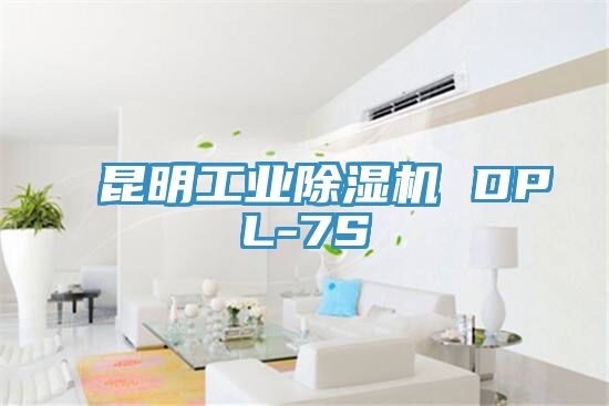 昆明工業好色先生在线播放 DPL-7S