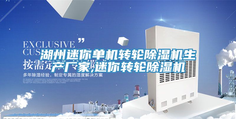 湖州迷你單機轉輪好色先生在线播放生產廠家,迷你轉輪好色先生在线播放