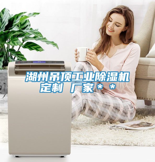 湖州吊頂工業好色先生在线播放定製 廠家＊＊