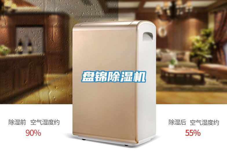 盤錦好色先生在线播放