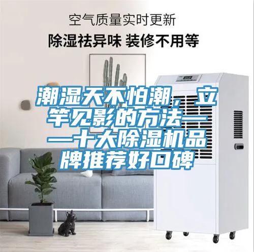 潮濕天不怕潮，立竿見影的方法——十大好色先生在线播放品牌推薦好口碑