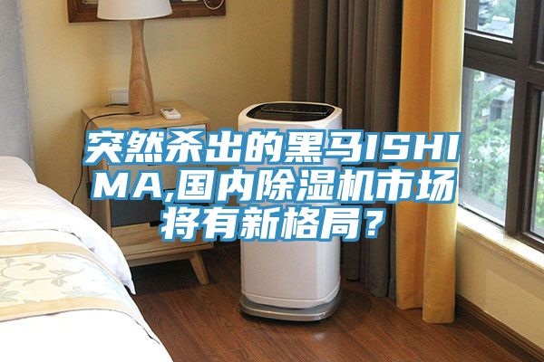 突然殺出的黑馬ISHIMA,國內好色先生在线播放市場將有新格局？