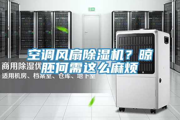 空調風扇好色先生在线播放？晾胚何需這麽麻煩