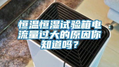恒溫恒濕試驗箱電流量過大的原因你知道嗎？
