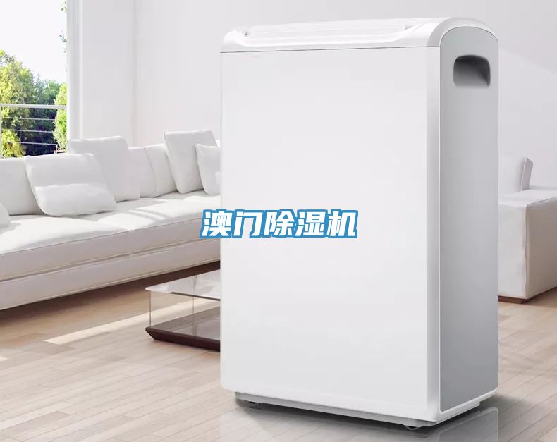 澳門好色先生在线播放