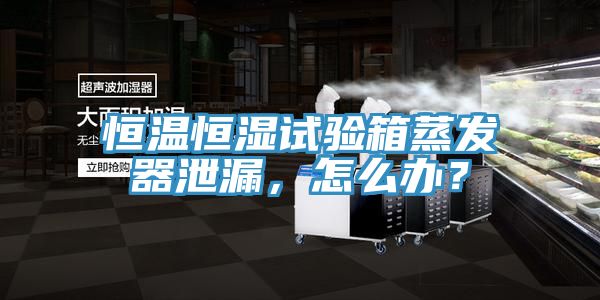 恒溫恒濕試驗箱蒸發器泄漏，怎麽辦？