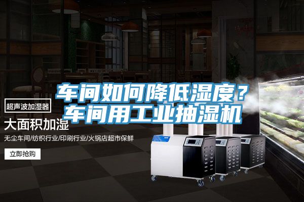 車間如何降低濕度？車間用工業抽濕機