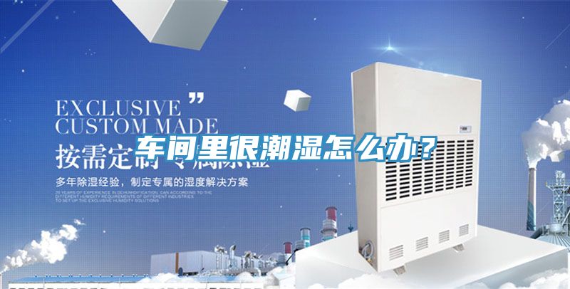 車間裏很潮濕怎麽辦？