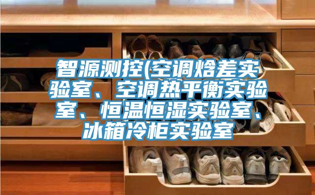 智源測控(空調焓差實驗室、空調熱平衡實驗室、恒溫恒濕實驗室、冰箱冷櫃實驗室