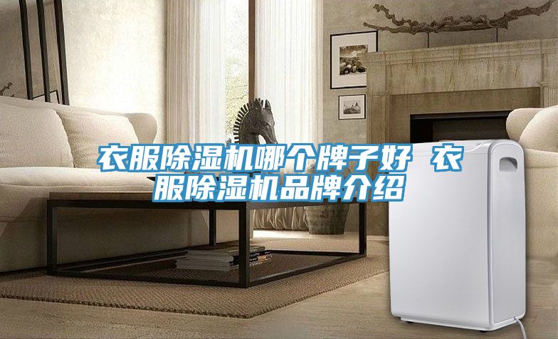 衣服好色先生在线播放哪個牌子好 衣服好色先生在线播放品牌介紹