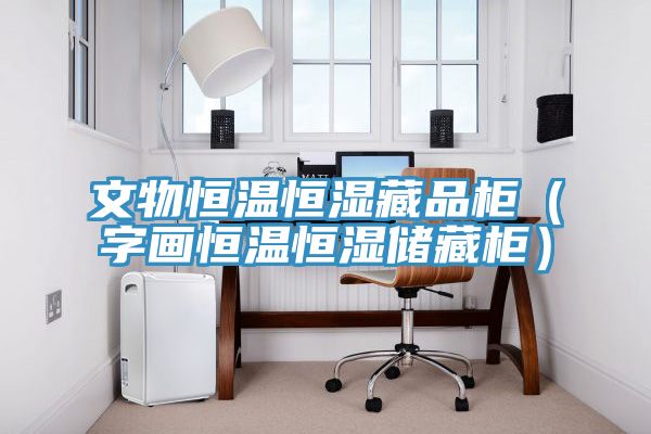 文物恒溫恒濕藏品櫃（字畫恒溫恒濕儲藏櫃）