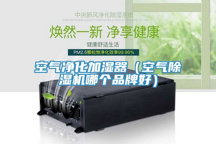 空氣淨化加濕器（空氣好色先生在线播放哪個品牌好）