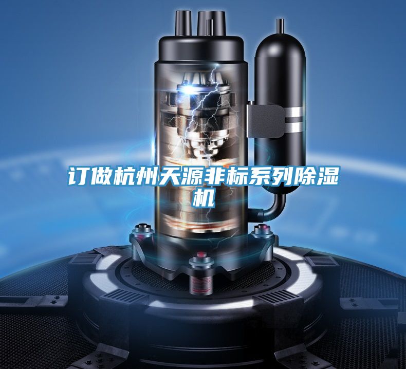 訂做杭州天源非標係列好色先生在线播放