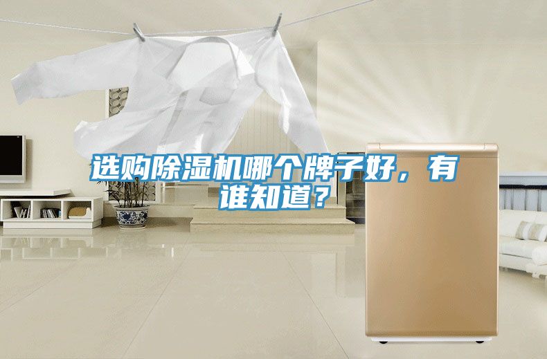 選購好色先生在线播放哪個牌子好，有誰知道？