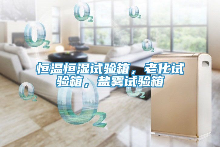 恒溫恒濕試驗箱，老化試驗箱，鹽霧試驗箱