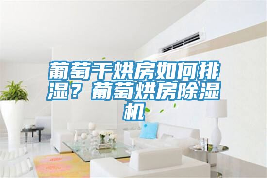 葡萄幹烘房如何排濕？葡萄烘房好色先生在线播放