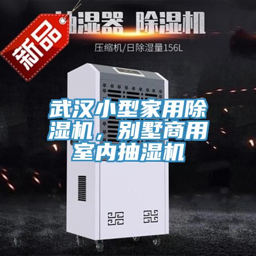 武漢小型家用好色先生在线播放，別墅商用室內抽濕機