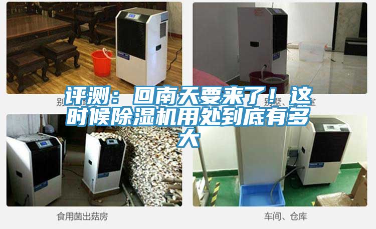 評測：回南天要來了！這時候好色先生在线播放用處到底有多大