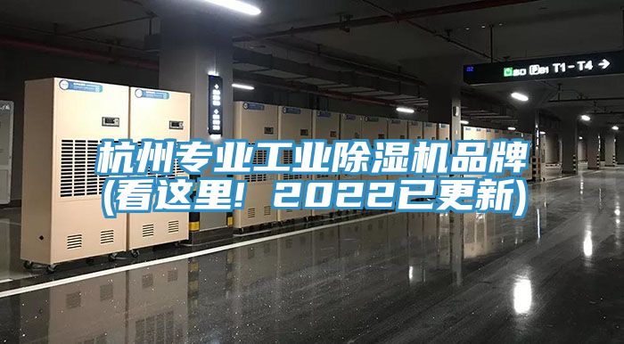 杭州專業工業好色先生在线播放品牌(看這裏! 2022已更新)