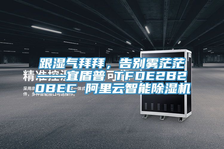 跟濕氣拜拜，告別霧茫茫——宜盾普 TFDE2B20BEC 阿裏雲智能好色先生在线播放
