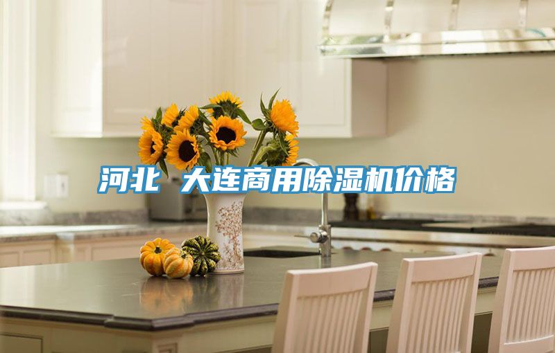 河北 大連商用好色先生在线播放價格