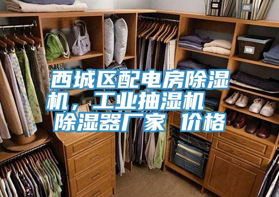 西城區配電房好色先生在线播放，工業抽濕機  除濕器廠家 價格