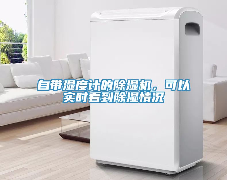 自帶濕度計的好色先生在线播放，可以實時看到除濕情況