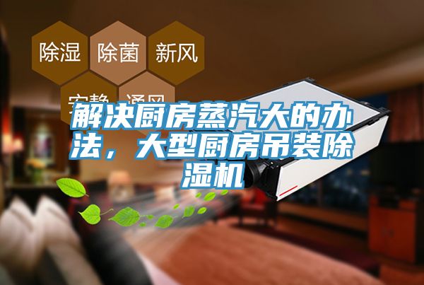 解決廚房蒸汽大的辦法，大型廚房吊裝好色先生在线播放