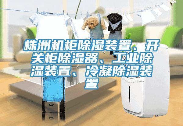 株洲機櫃除濕裝置、開關櫃除濕器、工業除濕裝置、冷凝除濕裝置